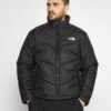 The North Face Saikuru Jacket - Winter Jacket - Black
